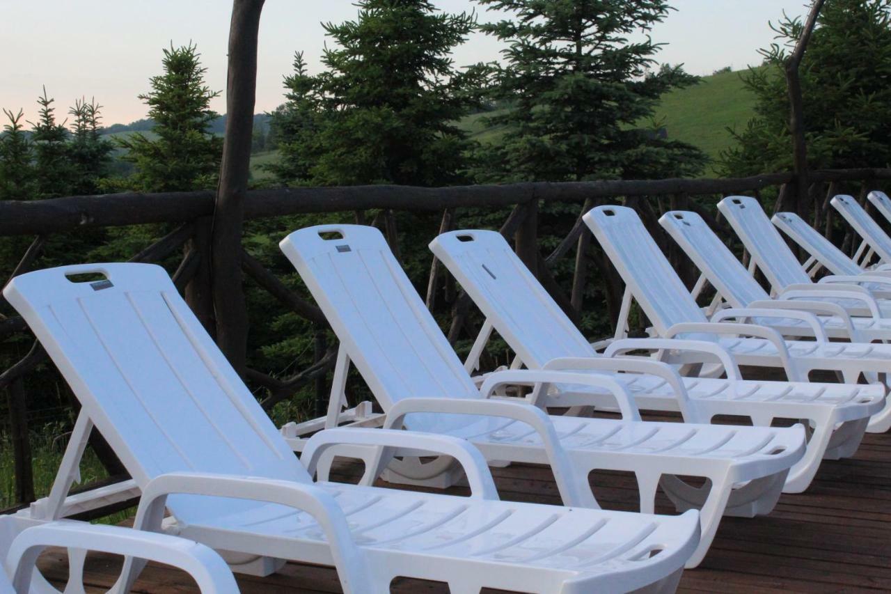 Bieszczadzkie Wrota Lasu Hotel Steznica  Bagian luar foto